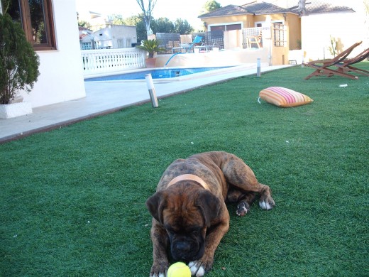 como siempre con su pelota..........